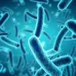 Beneficial bacteria produce the right type of enzymes