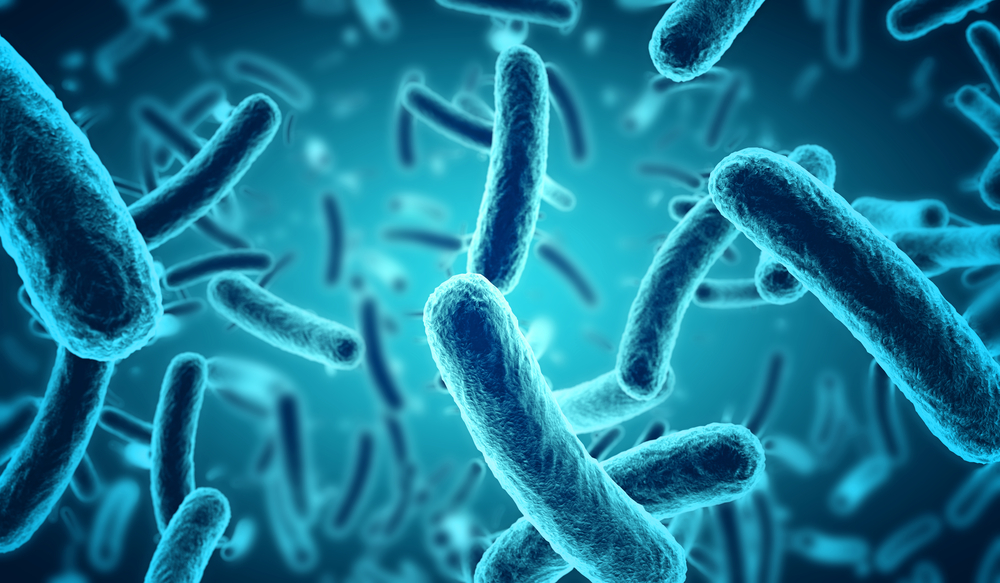 Beneficial bacteria produce the right type of enzymes