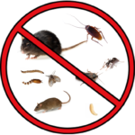 Biological Pest Control at the Source